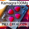 Kamagra100Mg 13